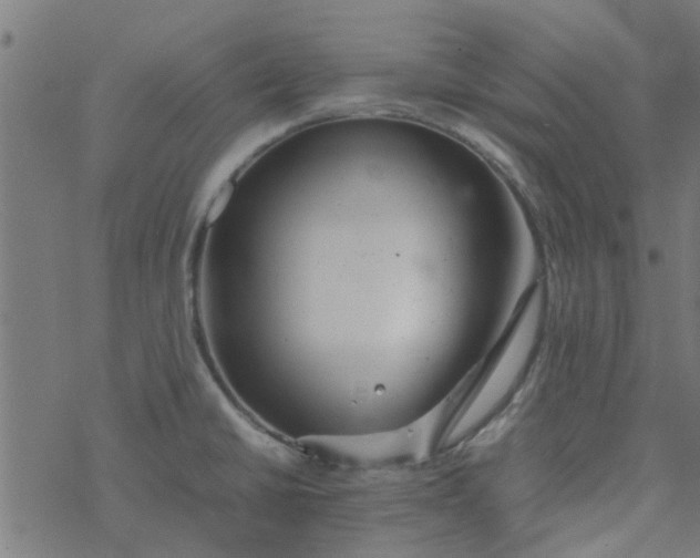 X0000077361430200611031835