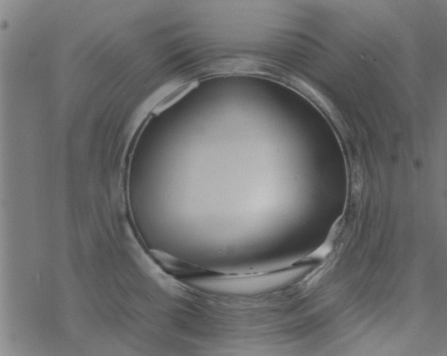 X0000077361434200611031835