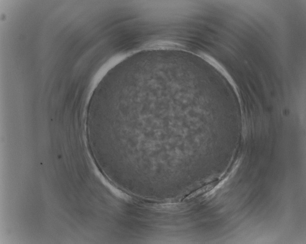 X0000077361437200611031835