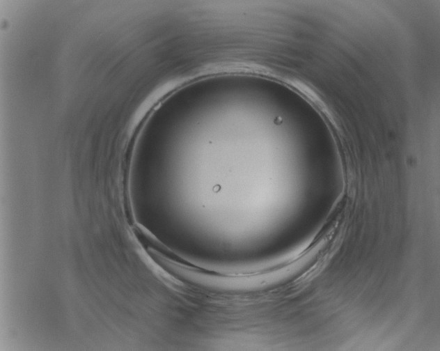 X0000077361438200611031835