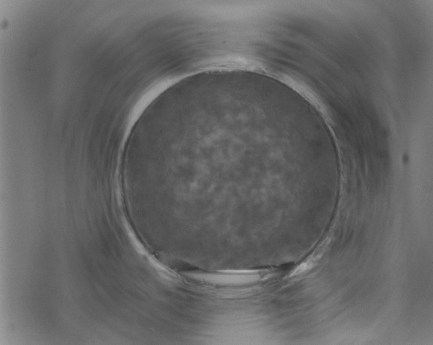 X0000077361440200611031835