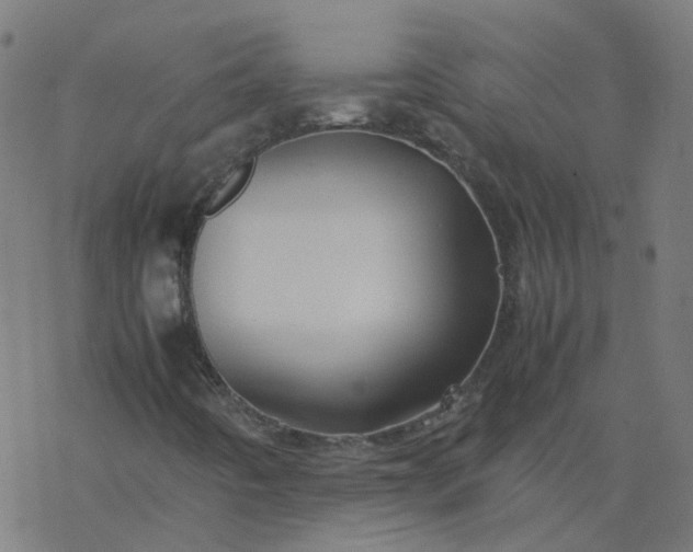 X0000077361442200611031834