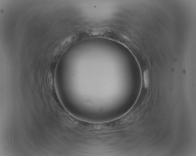 X0000077361443200611031834