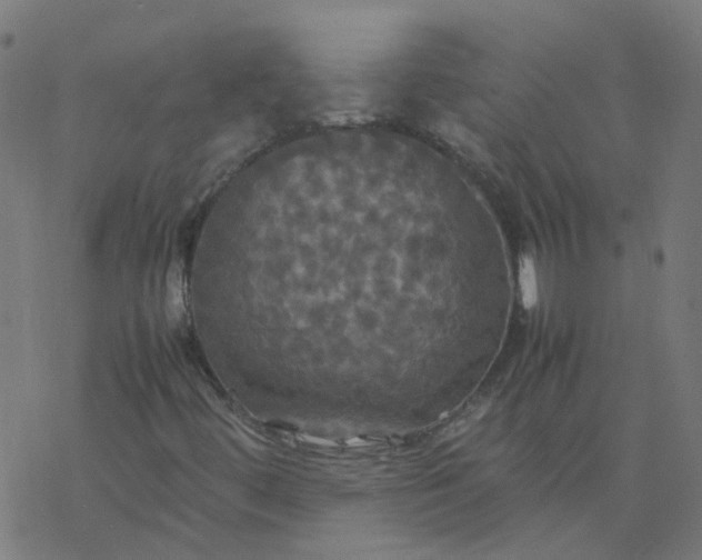 X0000077361444200611031834