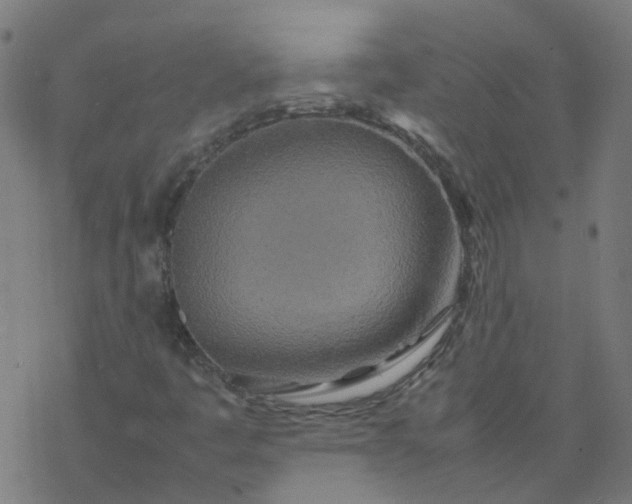 X0000077361445200611031834