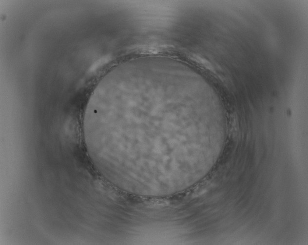 X0000077361446200611031834