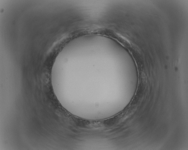 X0000077361447200611031834