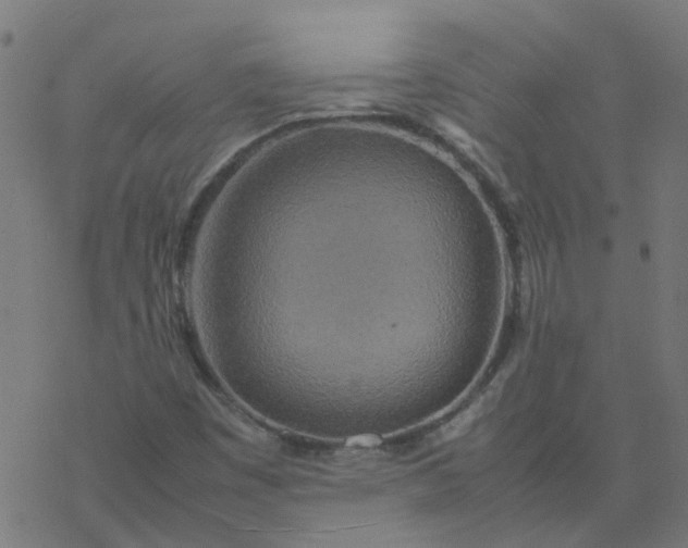 X0000077361449200611031834