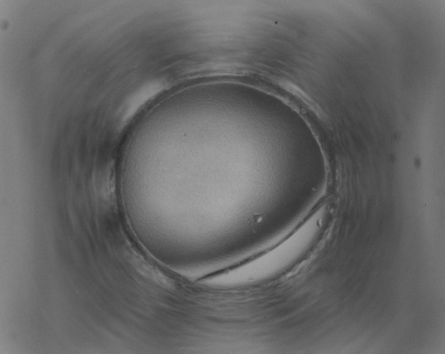 X0000077361450200611031834