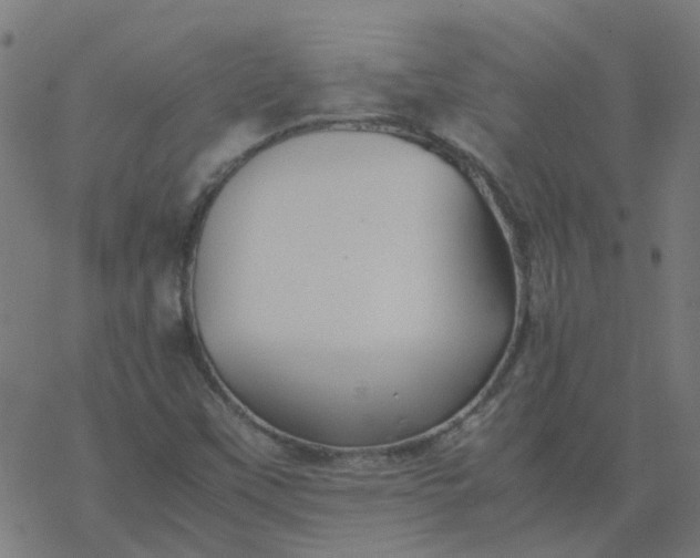 X0000077361451200611031834