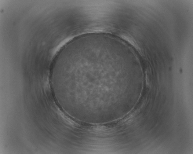 X0000077361452200611031834