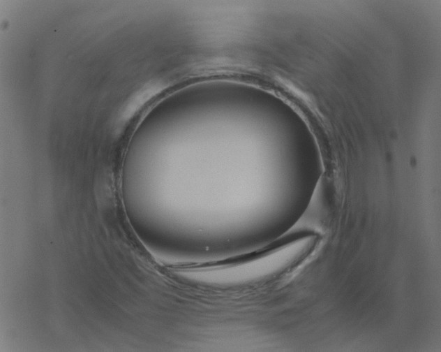 X0000077361453200611031834