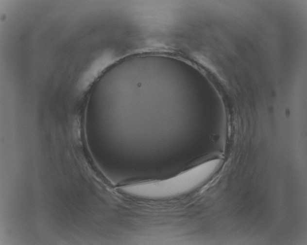 X0000077361455200611031834