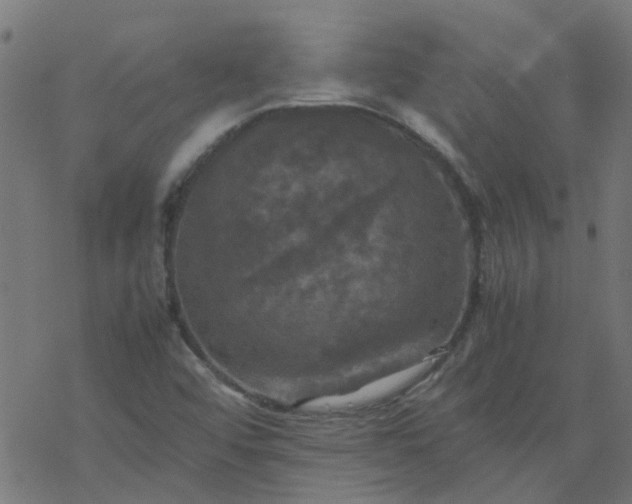 X0000077361456200611031834