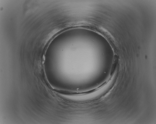 X0000077361457200611031834