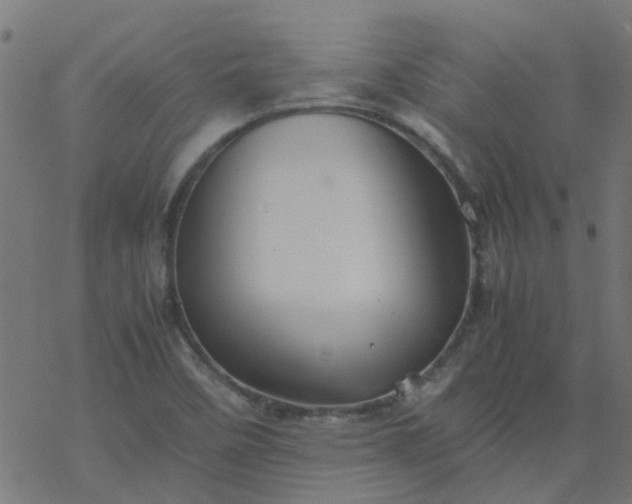 X0000077361458200611031834