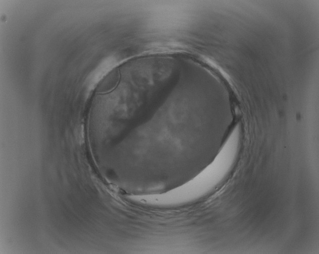 X0000077361459200611031834