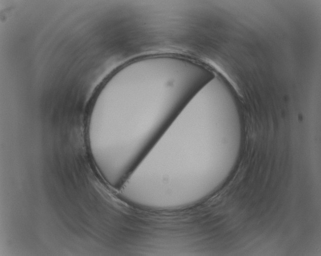 X0000077361460200611031834