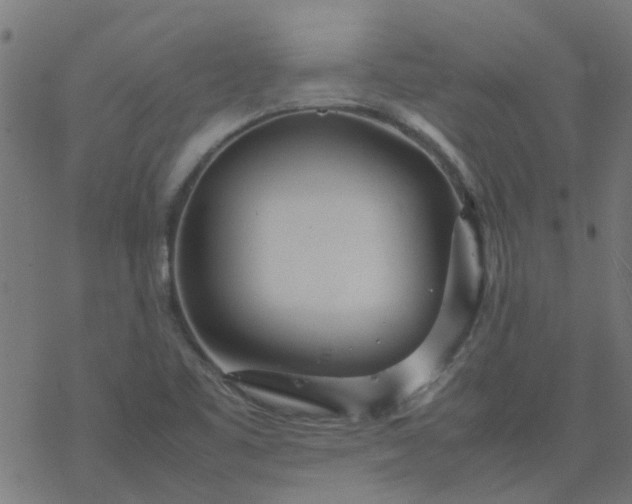 X0000077361461200611031834