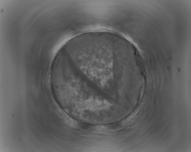 X0000077361463200611031834