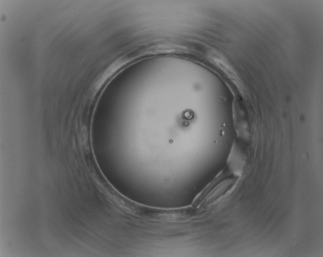 X0000077361465200611031834