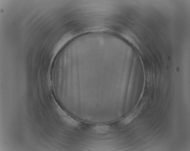 X0000077361466200611031834