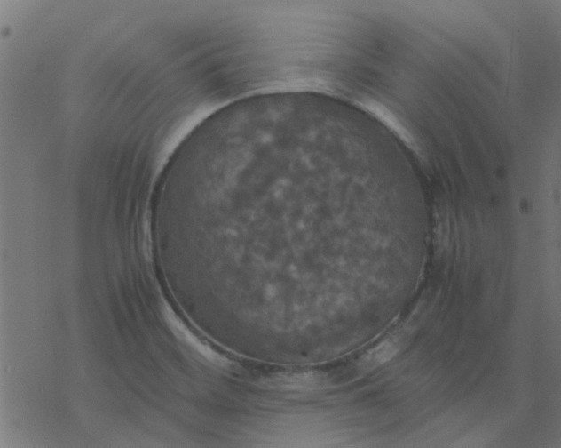 X0000077361468200611031834