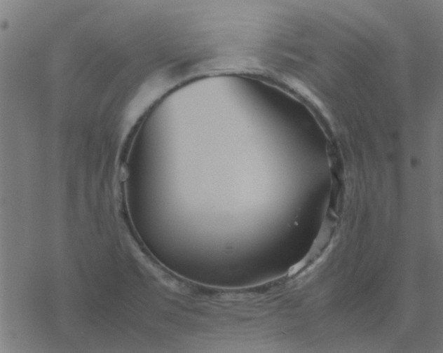 X0000077361469200611031834