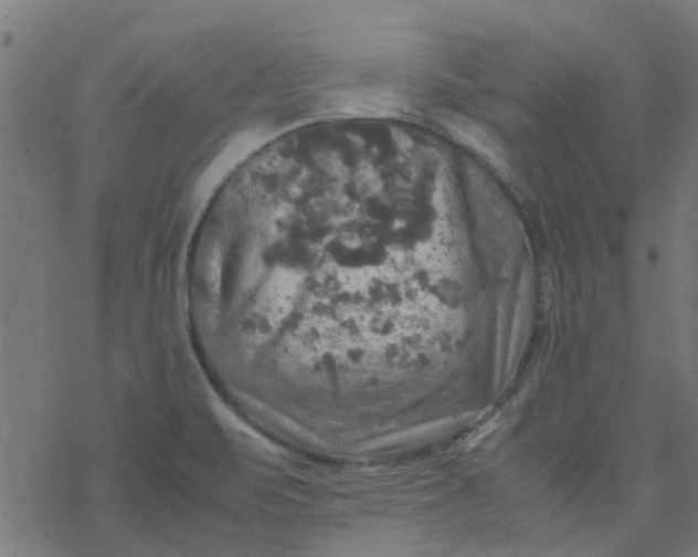 X0000077361471200611031834