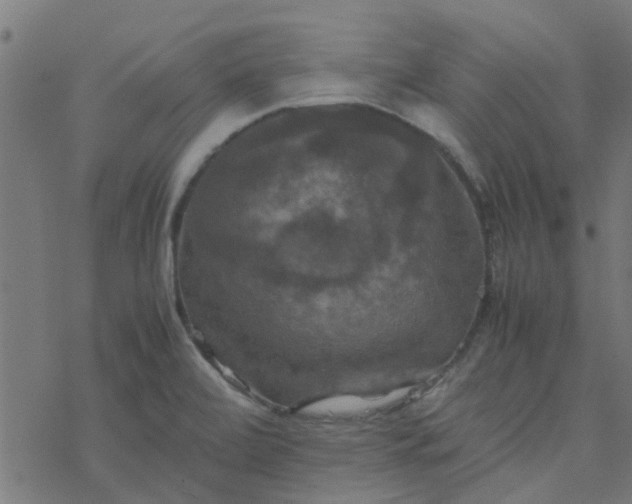 X0000077361472200611031834