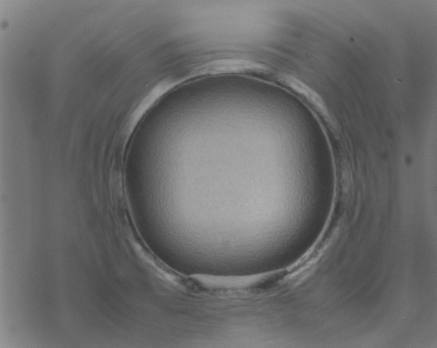 X0000077361473200611031834