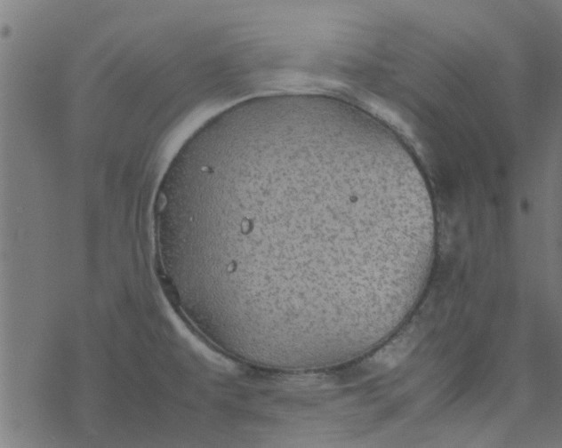 X0000077361479200611031834