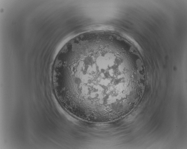 X0000077361483200611031834