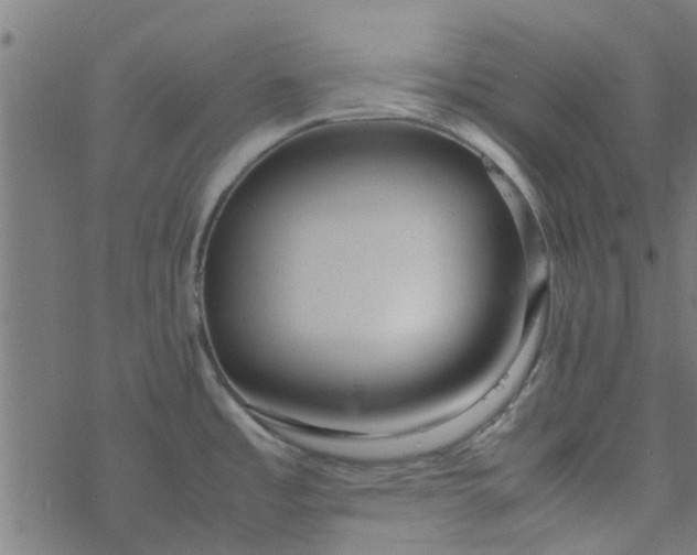 X0000077361485200611031834