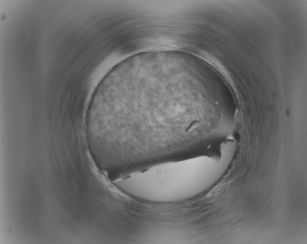 X0000077361488200611031833