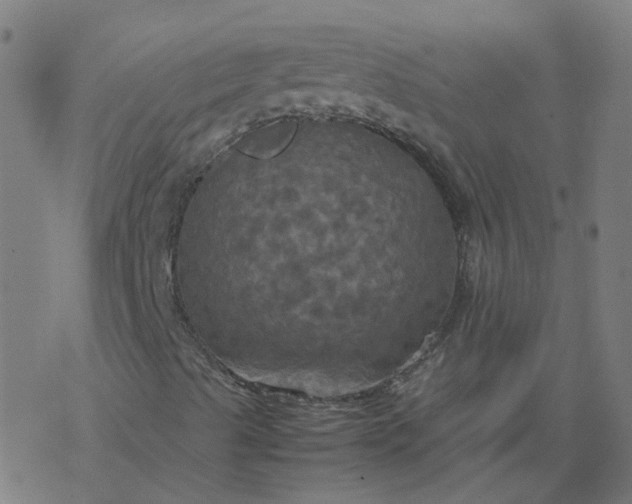 X0000077361489200611031833