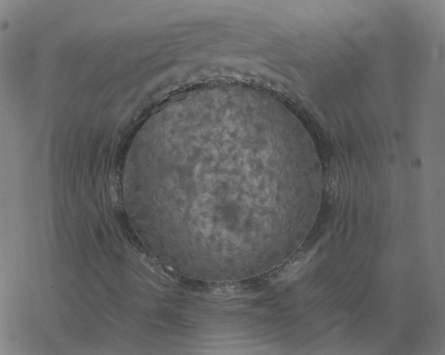 X0000077361490200611031833