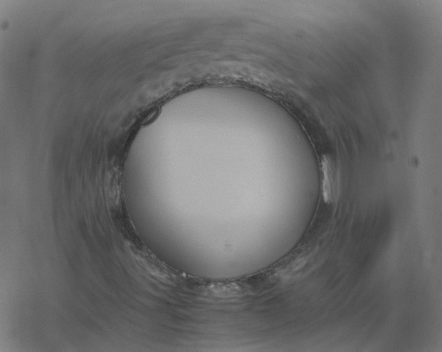 X0000077361491200611031833