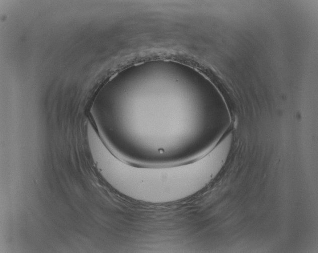 X0000077361492200611031833