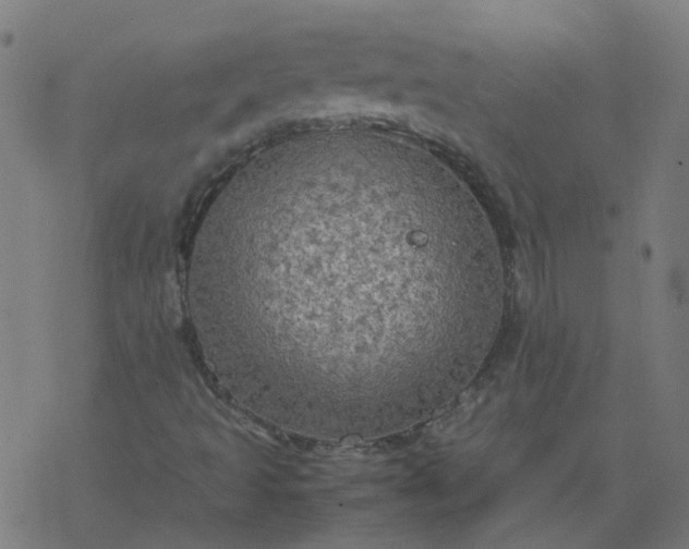 X0000077361493200611031833