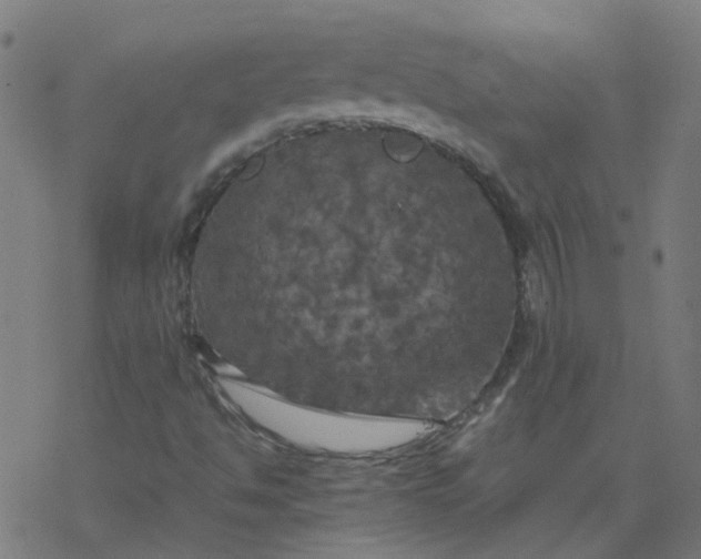 X0000077361494200611031833