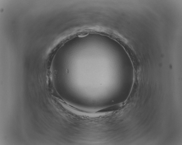 X0000077361496200611031833