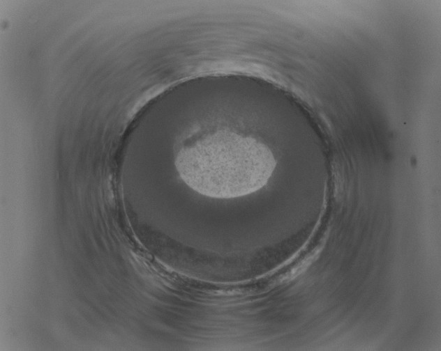 X0000077361497200611031833