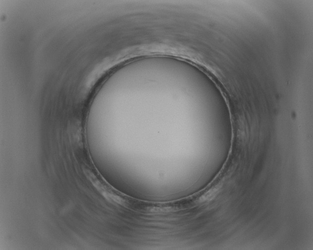 X0000077361499200611031833