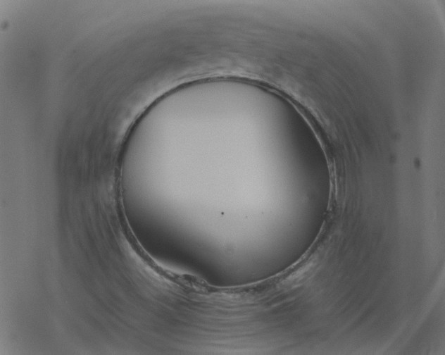 X0000077361500200611031833