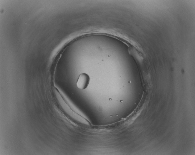 X0000077361502200611031833