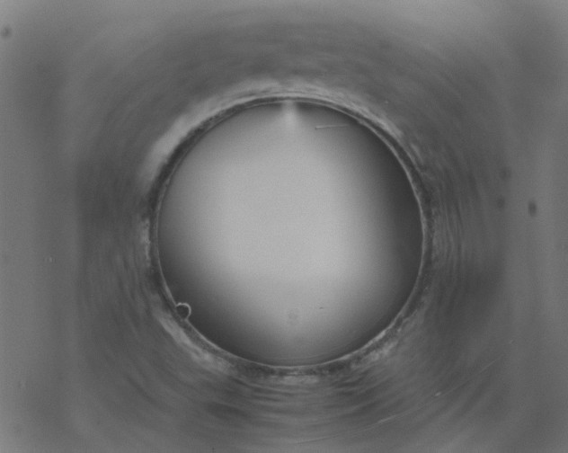 X0000077361503200611031833