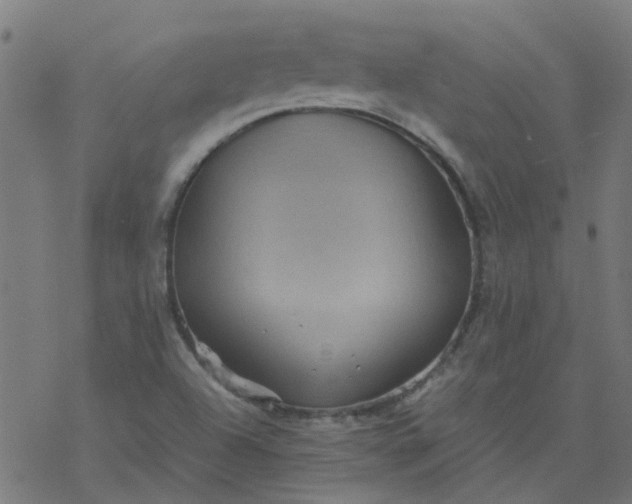 X0000077361504200611031833