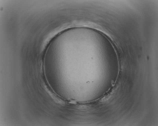 X0000077361507200611031833