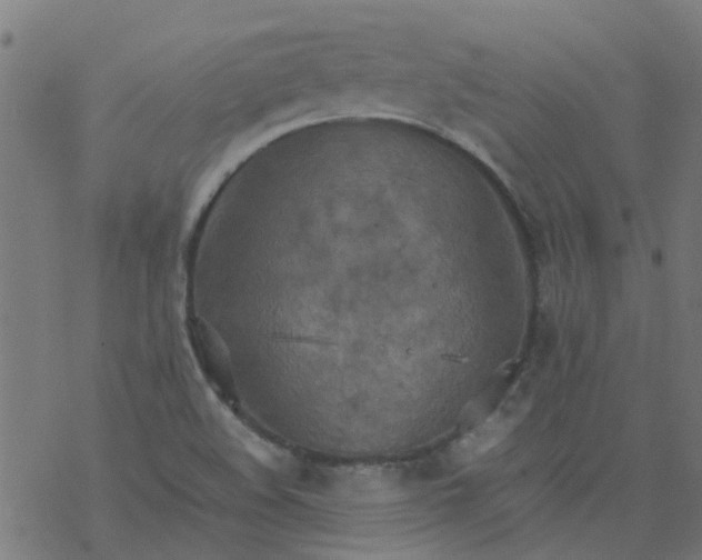 X0000077361508200611031833